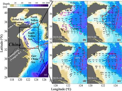 Quasi-Synchronous Accumulation of Apparent Oxygen Utilization and Inorganic Carbon in the South Yellow Sea Cold Water Mass From Spring to Autumn: The Acidification Effect and Roles of Community Metabolic Processes, Water Mixing, and Spring Thermal State